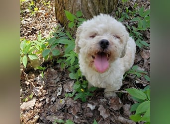 LINA - kleine Herzensdame