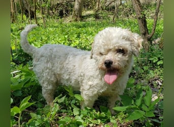 LINA - kleine Herzensdame