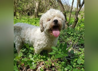 LINA - kleine Herzensdame