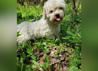 LINA - kleine Herzensdame