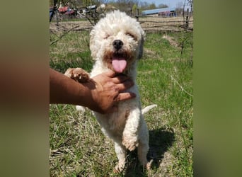 LINA - kleine Herzensdame