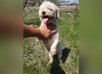 LINA - kleine Herzensdame