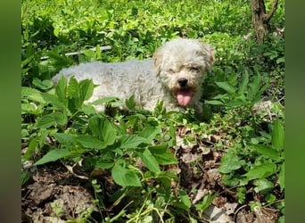 LINA - kleine Herzensdame