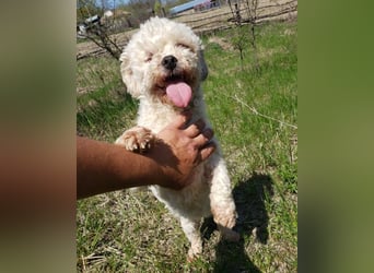 LINA - kleine Herzensdame