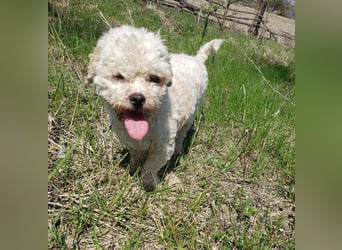 LINA - kleine Herzensdame