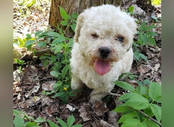 LINA - kleine Herzensdame