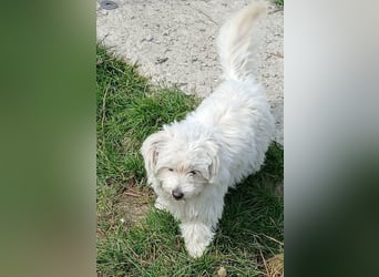 Else - jung und neugierig