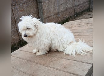 Else - jung und neugierig