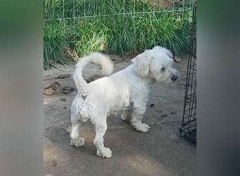 Miley - freundlich und neugierig Miley - freundlich und neugierig