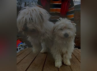 Else - jung und neugierig