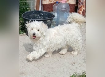 Else - jung und neugierig