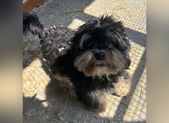 Archie sucht Geborgenheit