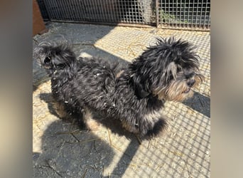 Archie sucht Geborgenheit