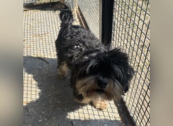 Archie sucht Geborgenheit