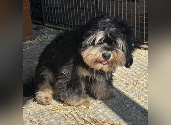 Archie sucht Geborgenheit