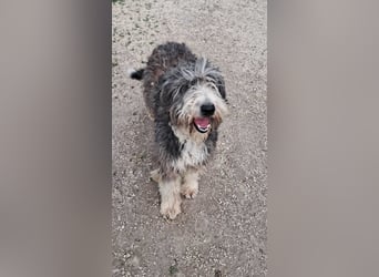 Lena freundlich kinderlieb mit großem Herz