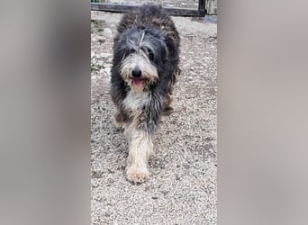 Lena freundlich kinderlieb mit großem Herz