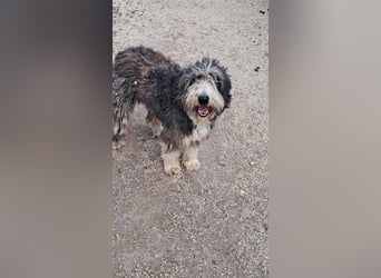 Lena freundlich kinderlieb mit großem Herz