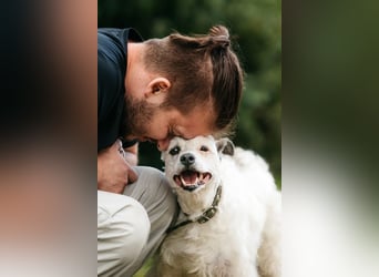 Ruhiges Zuhause für Nancy gesucht