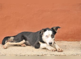 Möchtest du Belly zeigen, wie schön das Leben an der Seite eines Menschen sein kann?