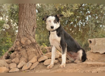 Möchtest du Belly zeigen, wie schön das Leben an der Seite eines Menschen sein kann?