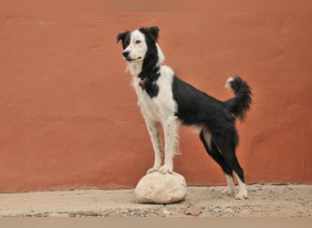 Zeigen Sie Bollero wie schön das Leben in einer Familie sein kann?