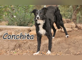 Schenken Sie Conchita ein liebevolles Zuhause?