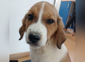 Muss WILLOW alleine zurück bleiben ?