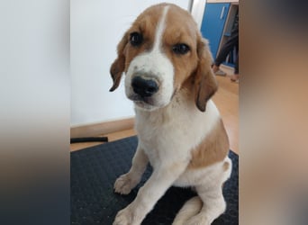 Muss WILLOW alleine zurück bleiben ?