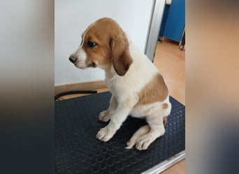 Muss WILLOW alleine zurück bleiben ?
