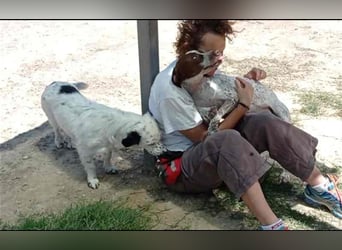 Bombón – der perfekte Name für unser Sunnygirl!