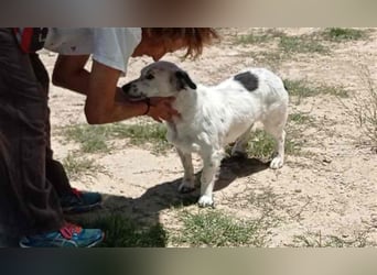 Bombón – der perfekte Name für unser Sunnygirl!