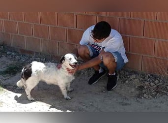 Bombón – der perfekte Name für unser Sunnygirl!