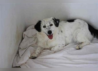 Bombón – der perfekte Name für unser Sunnygirl!