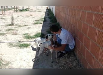 Bombón – der perfekte Name für unser Sunnygirl!