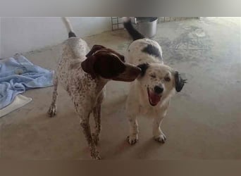 Bombón – der perfekte Name für unser Sunnygirl!