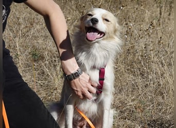 Sanfte Stina sucht Menschen mit Herz