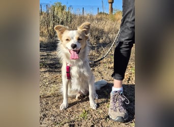 Sanfte Stina sucht Menschen mit Herz