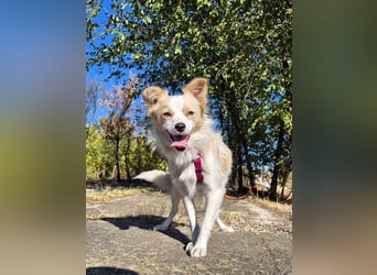 Sanfte Stina sucht Menschen mit Herz