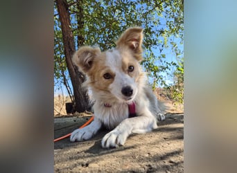 Sanfte Stina sucht Menschen mit Herz