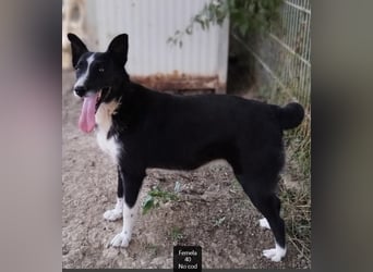 Susa - sucht aktive Menschen