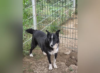 Susa - sucht aktive Menschen