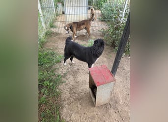 Susa - sucht aktive Menschen