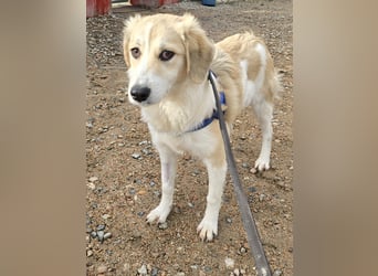 Buffy: ein Schatz für "Überall mit dabei"