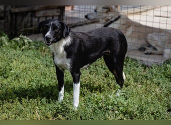Cantinho da Milu ▪️RUTIE ▪️auch die Mama braucht ein Zuhause !