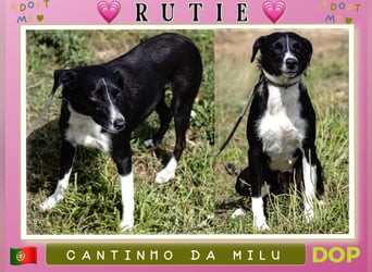 Cantinho da Milu ▪️RUTIE ▪️auch die Mama braucht ein Zuhause !