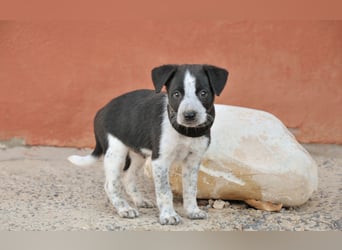 Bist du bereit, Bablo auf seinem Weg ins Leben zu begleiten?