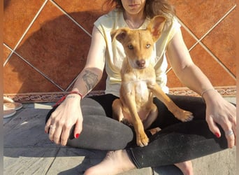 MORGAN – fröhlicher Wirbelwind mit großem Herzen