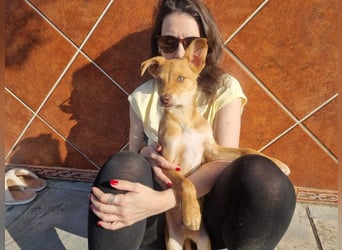 MORGAN – fröhlicher Wirbelwind mit großem Herzen