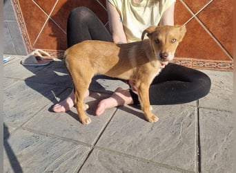 MORGAN – fröhlicher Wirbelwind mit großem Herzen